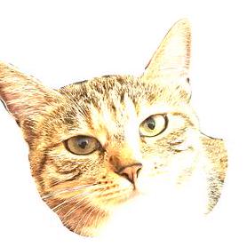 Mr Chenxin Github - Premium Colorful Texture Gallery - Desktop