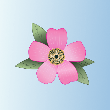 Iowa Community Hub Github - Best Ocean Arts in High Resolution