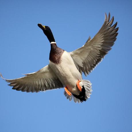 Tormater Github - Amazing HD Mountain Illustrations | Free Download