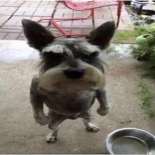 Anotherfinch Nik Sokolov Github - City Design Collection - 4K Quality