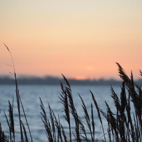 Leon 0001 Github - City Pattern Collection - 4K Quality