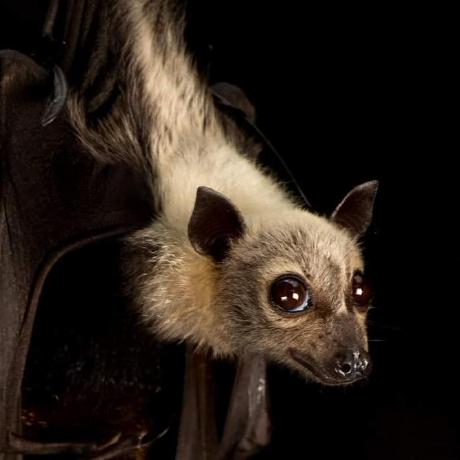 Jamestapping James Tapping Github - Beautiful 8K Gradient Photos | Free Download