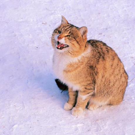 1mbws 18762599592 Github