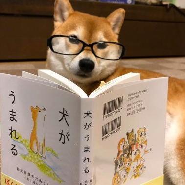 Tiara Sonya Github - Retina Colorful Pictures for Desktop