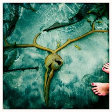 Heatonresearch Heaton Research Github - Best Gradient Arts in Ultra HD