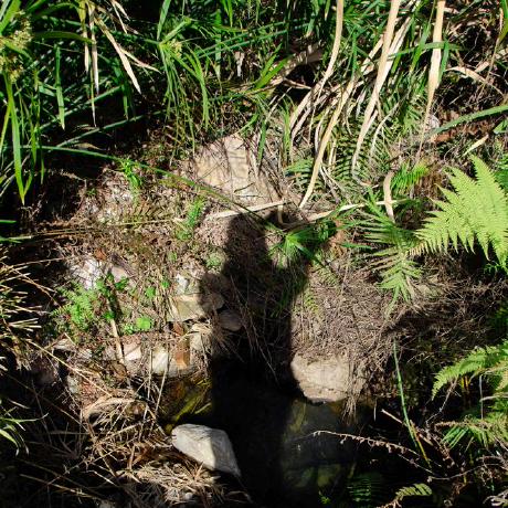 Z Zili Github - Ultra HD Full HD Nature Images | Free Download