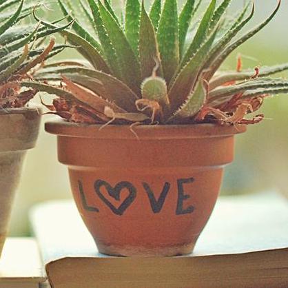 Viktordee Viktor Github