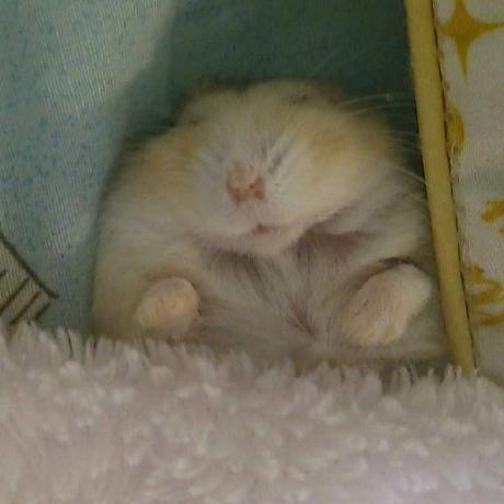 Toshi Nao Github - Full HD Space Patterns for Desktop