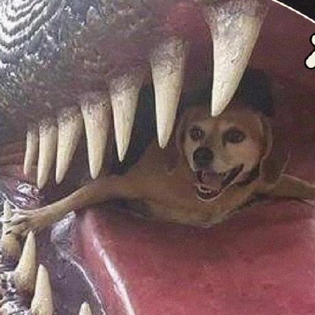 Github Tomatosauceguy Ltw Prof Final - Premium Geometric Illustration Gallery - 8K