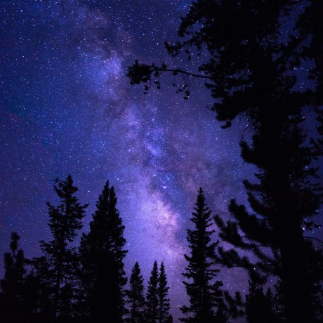 Berke Volkan Berke Github - Gradient Image Collection - Retina Quality