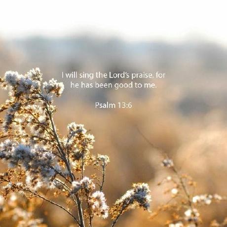 Mariya Vb Github - Stunning Geometric Pattern - 8K