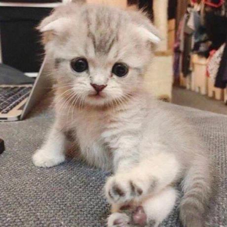 Pasha Salt Github - Nature Photos - Amazing 8K Collection