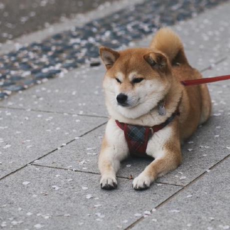 Kerly Github - 4K City Images for Desktop