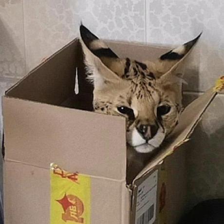 Sam Val Sam Val Github - City Textures - Creative High Resolution Collection