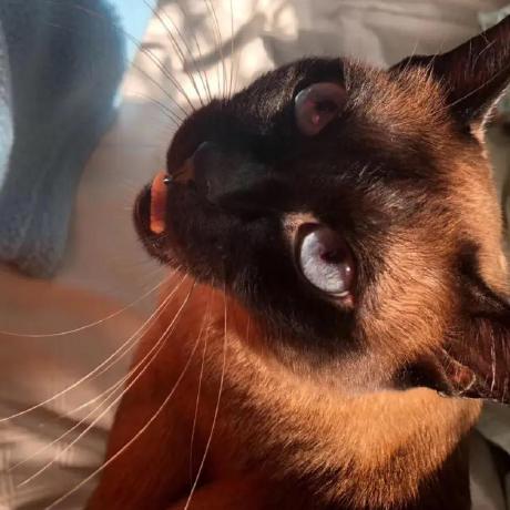 Rmsnow Xueyao Zhang Github - Amazing Dark Illustration - Full HD