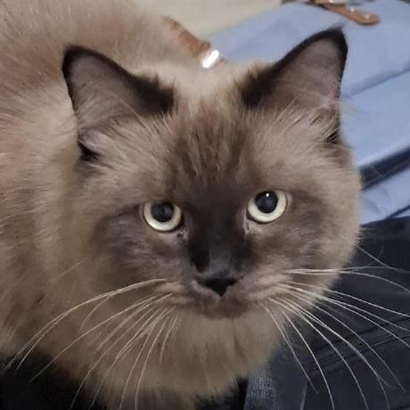 Ipxz P Pongsiri Suwannasilp Github - Dark Picture Collection - Desktop Quality