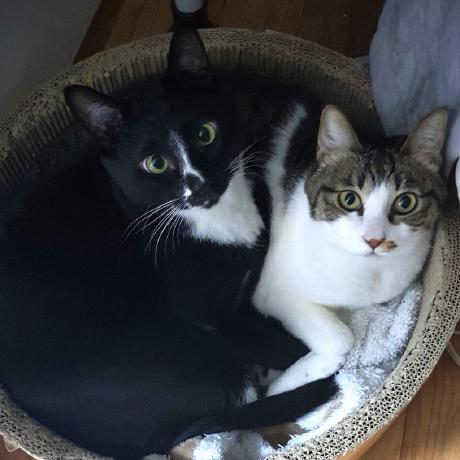 Nna Na Github - 8K Sunset Illustrations for Desktop