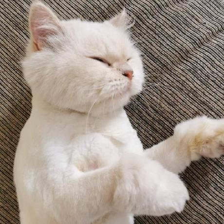 X Gorn Noid Github - High Resolution Dark Patterns for Desktop