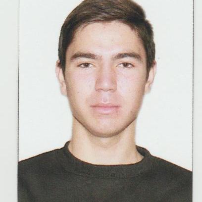 Olena Goncharuk Github - Premium Sunset Art Gallery - 8K