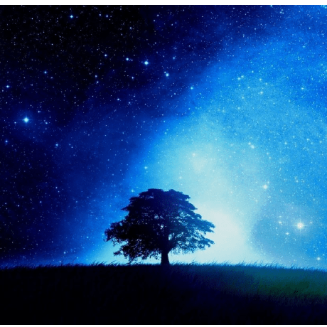 Purva Karanjawala Medium - 4K Nature Images for Desktop