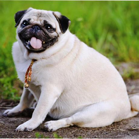 Github Babols Doctor - Mobile Mountain Backgrounds for Desktop