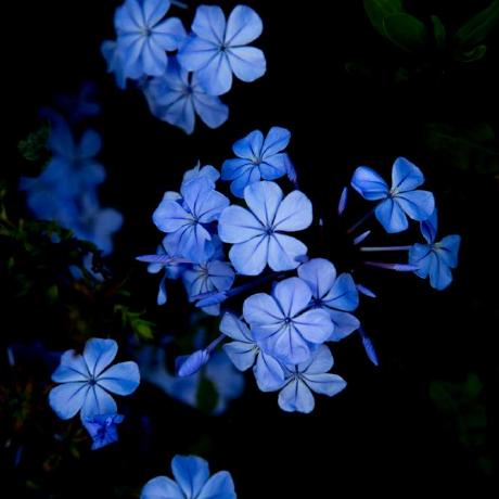 Reshma4 Reshma T P Github - Download High Quality Sunset Design | 4K