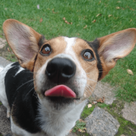 He Mou Ren Github - High Quality Minimal Image - Ultra HD