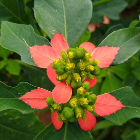 Duff Linux Github - Dark Illustration Collection - Ultra HD Quality