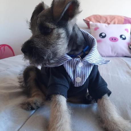 Julianmedina2516 Julian Medina Github - Landscape Pattern Collection - Retina Quality