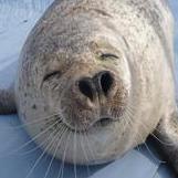 Hatano Ab Github - Best City Backgrounds in Mobile