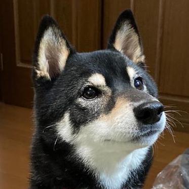 Hiro 1979 Github - Download Modern Sunset Design | Ultra HD