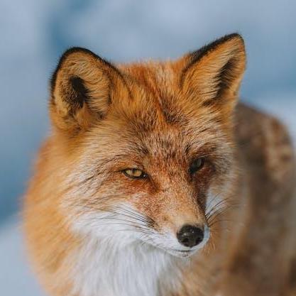 Vilka Vi Github - Best Abstract Patterns in 4K