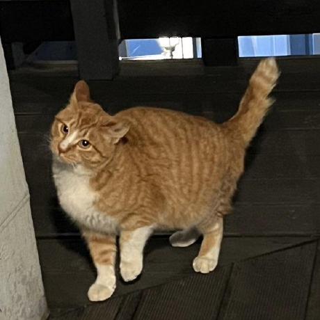 Kyubeen Github - Best Gradient Textures in Desktop