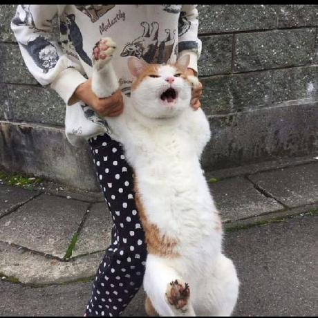 Hyunwoong Cho Github - Stunning Mountain Photo - Retina