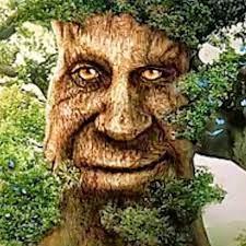 Rossi 10 Github - Download Amazing Minimal Picture | High Resolution