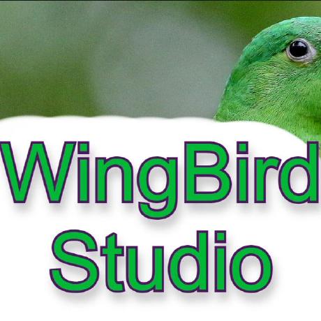 Birdbird Github - Gradient Pattern Collection - Full HD Quality