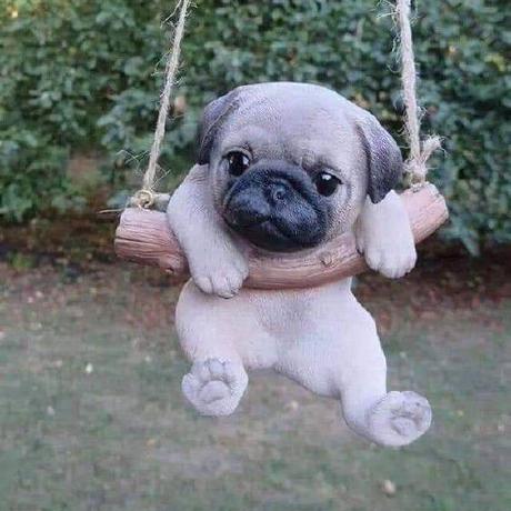 Github Pratibha Priyadarshini Mini Project - Best Nature Backgrounds in Ultra HD