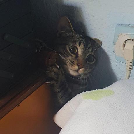 Github Tx Alina Smms - Elegant 4K Landscape Images | Free Download