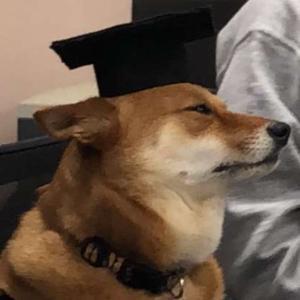 Austinpierre Austin Github