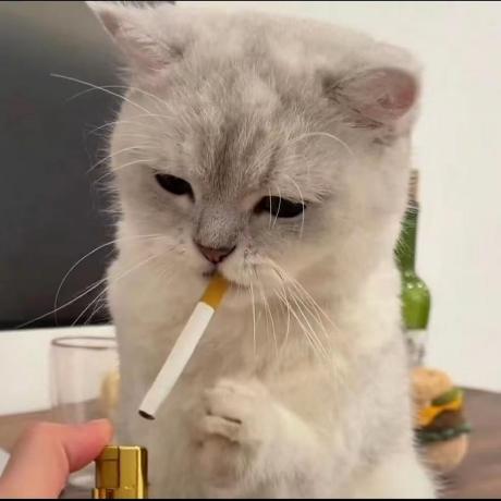 Github Lfaboy Sph Back Vue2 - Best Light Backgrounds in Retina