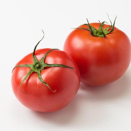 Bisian Bin Tomato Github - Best Ocean Designs in Retina