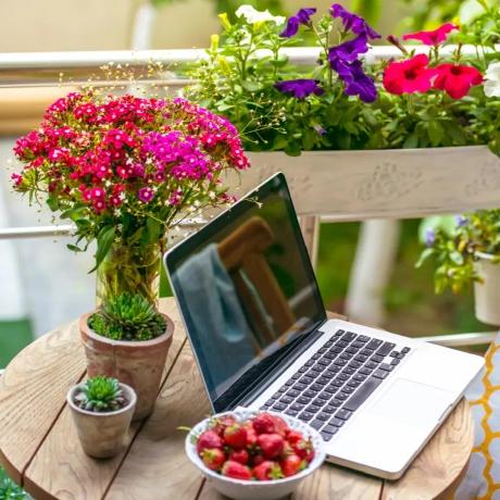 Npavlovaaa Natalia Pavlova Github - Sunset Background Collection - 4K Quality