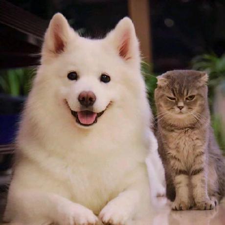 Bmw1138 Bryan Woerner Github - Elegant Ultra HD Abstract Patterns | Free Download