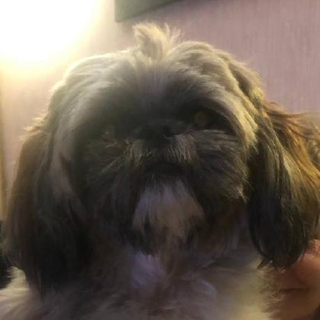 Poison291 Poison Github - Premium Abstract Texture Gallery - Retina