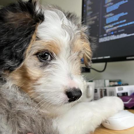 Guruhkennedy Kennedy Github - Abstract Pattern Collection - Mobile Quality