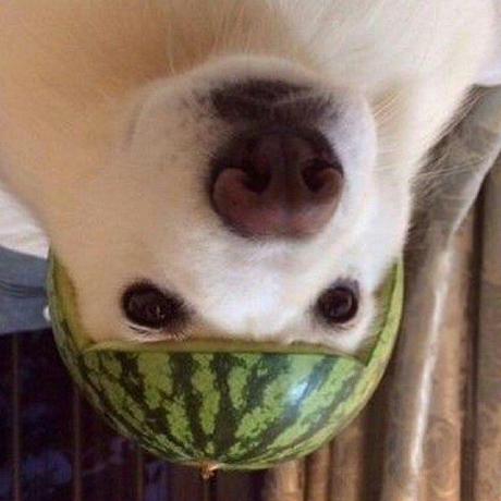 Anitoanto Anito Anto Github - Best Abstract Designs in 4K