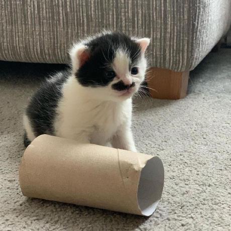 A Sidorova Alexandra Sidorova Github - Dark Wallpapers - Ultra HD 4K Collection