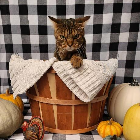 Liny556 Guangyu Li Github