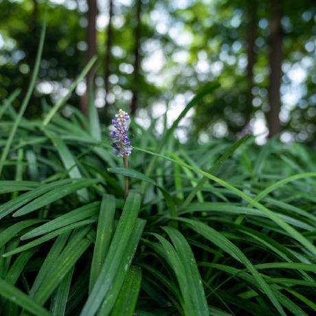 Zsr Lukezhang Luke Zhang Github - Space Picture Collection - High Resolution Quality