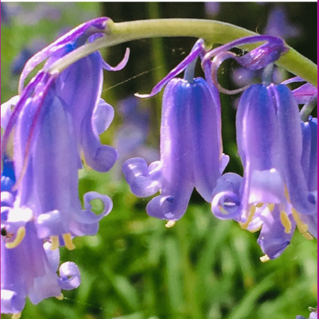 Im Manuel Github - 8K Geometric Illustrations for Desktop